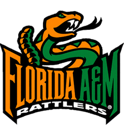 FAMU Partner- ship Launches Only Black Cable News Network