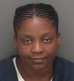 Tampa Woman Given 12 Years In Tax Fraud Case