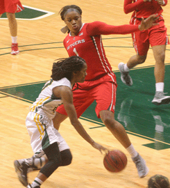 Lady Bulls Fall To Rutgers In NIT Semi-Finals