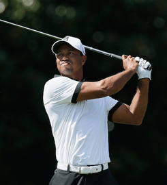 Tiger Could Play This Fall  