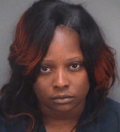Tampa Woman Indicted On 24 Counts Tax Fraud 