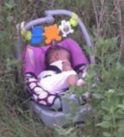 Missing 8-Month-Old Baby Found Safe In Bushes Near Roadway