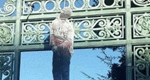 3  Hanging Cutouts Discovered Before #BlackLivesMatter Protest At Univ. Of California