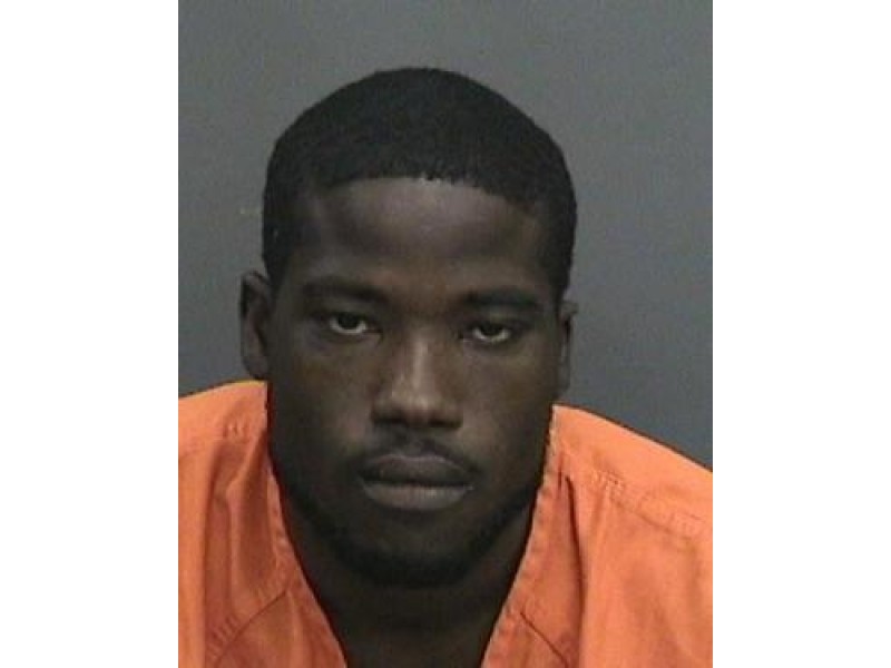 Tampa Man Tracked Down By K-9 Unit After Shooting