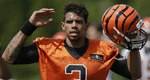 Bengals Give Terrelle Pryor Chance To Be Backup QB