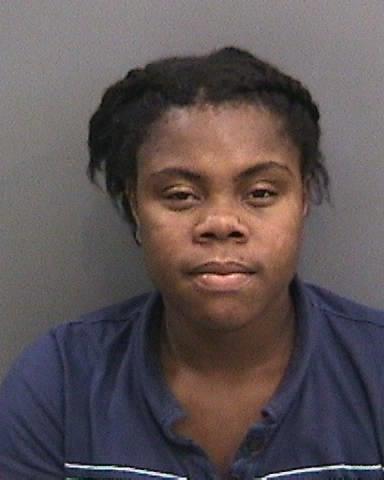 Woman Charged After Traffic Crash