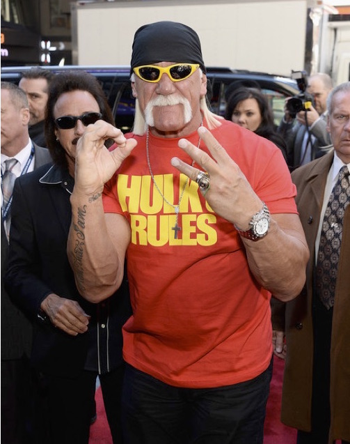 Hulk Hogan Canned By WWE For Using N-Word Years Ago