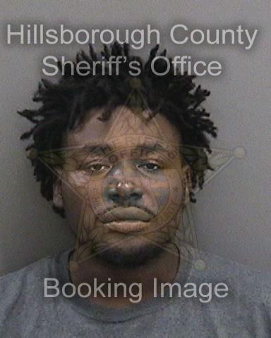 Police Pursue Stolen Vehicle Of Auto Burglary Suspect
