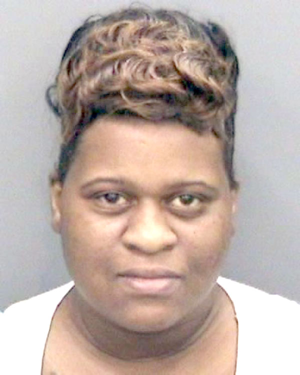 Affidavit Gives Details In Scandalous Tax Fraud Case