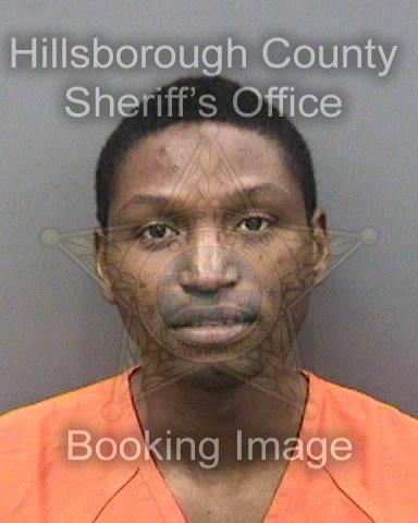 USF Police Arrest Suspect For Misdemeanor Battery