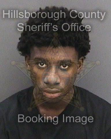 Birthday Party Turns Violent For Tampa Man, Teen