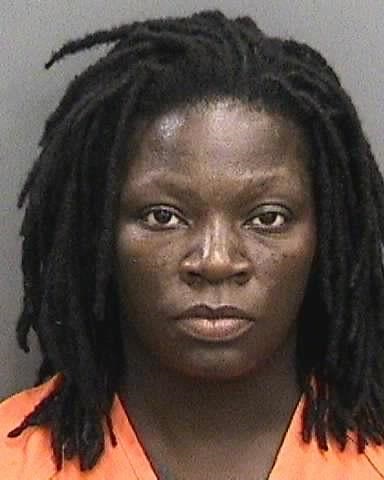 Woman Pleads Guilty In Tax  Fraud Case