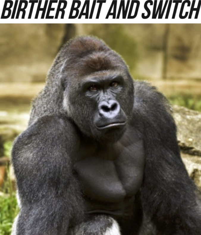 Donald Trump’s Propaganda Arm Goes Totally Racist With Harambe’s Picture Used With Birther Story