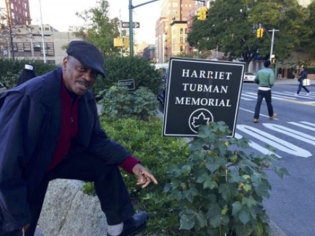 New Yorker Grows Cotton In Harlem To Teach Kids About Slavery