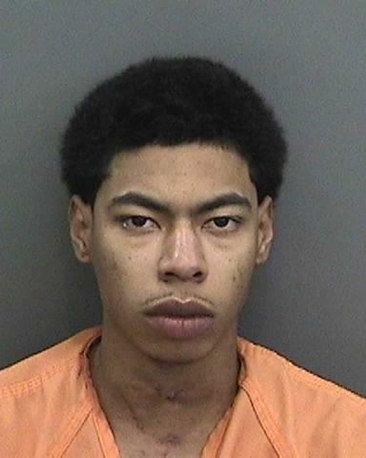 Man Charged After Car Plunges Into Lake