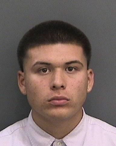 Teenager Charged With Injuring Flamingo