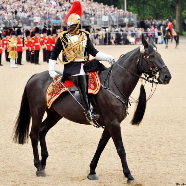 Queen Elizabeth II Hires First Black Equerry