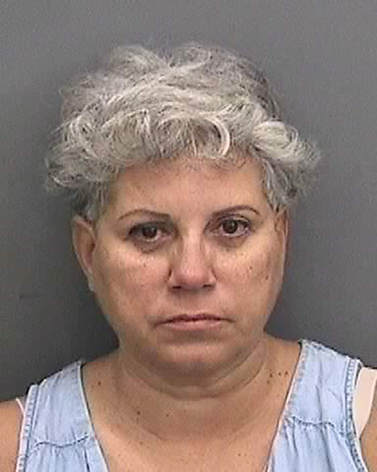 Teacher Charged With Grand Theft