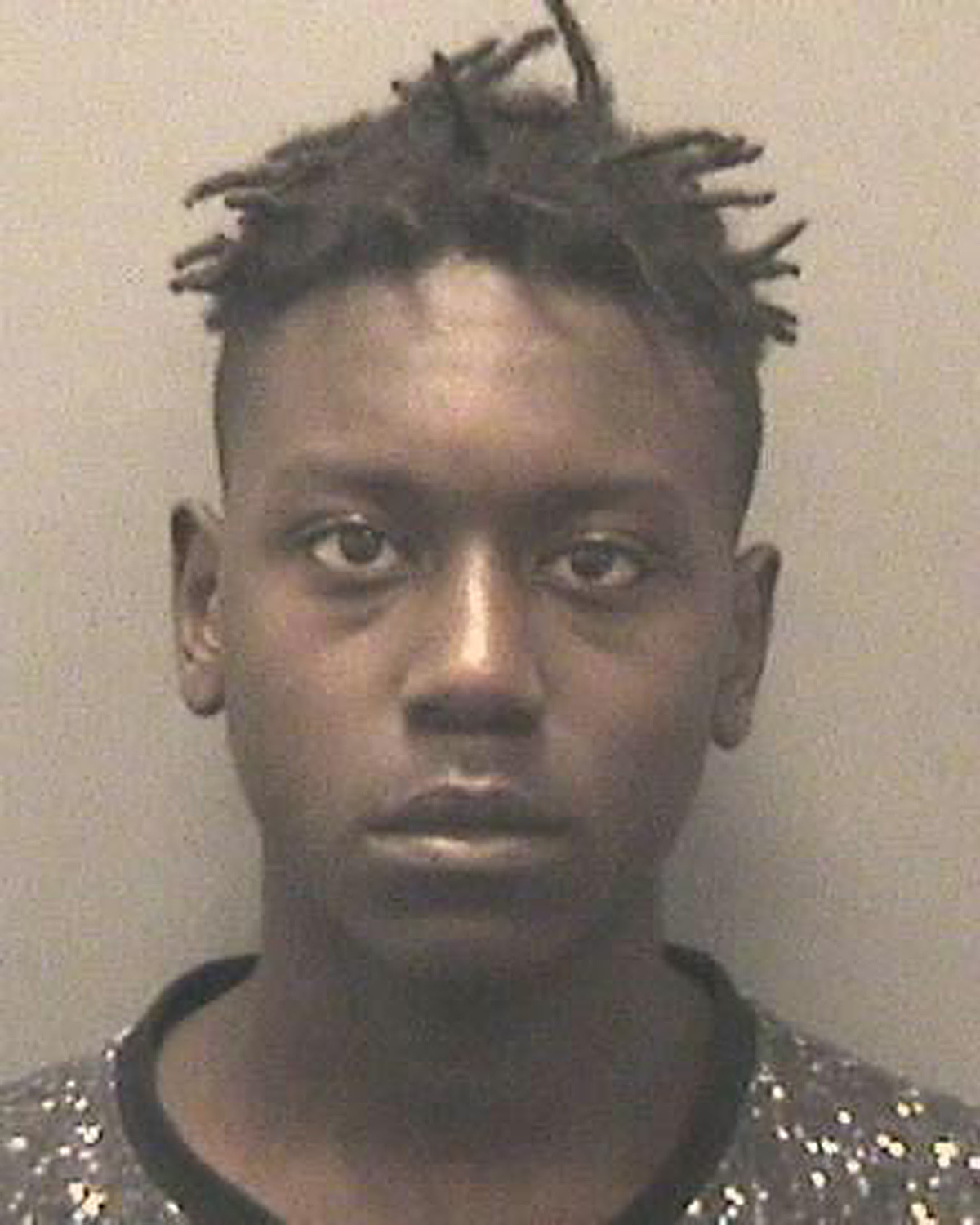 Crime Stoppers Tip Leads To Stolen Van