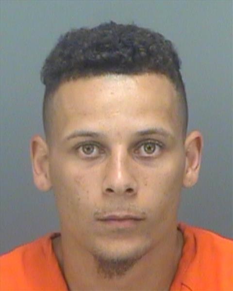 Man Found Dead In His Driveway