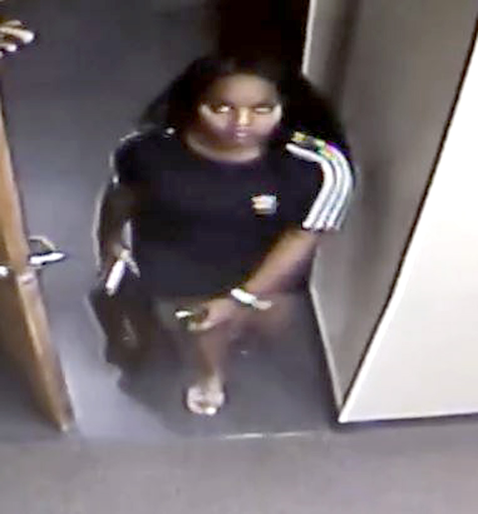 Two Women Sought In String Of Thefts