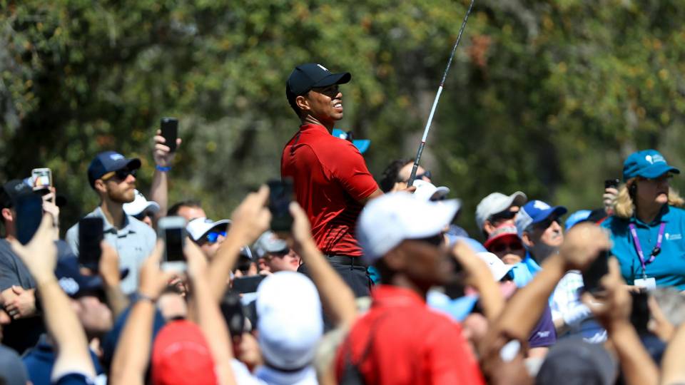 Tiger Power! TV Ratings, Attendance At Valspar Championship Through The Roof