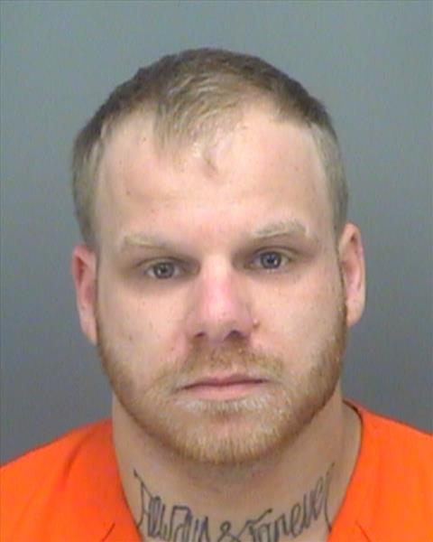 Armed Drug Traffickers Plead Guilty
