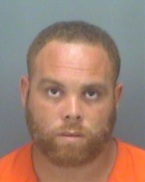 Man Gets 17 Years For Drugs, Guns