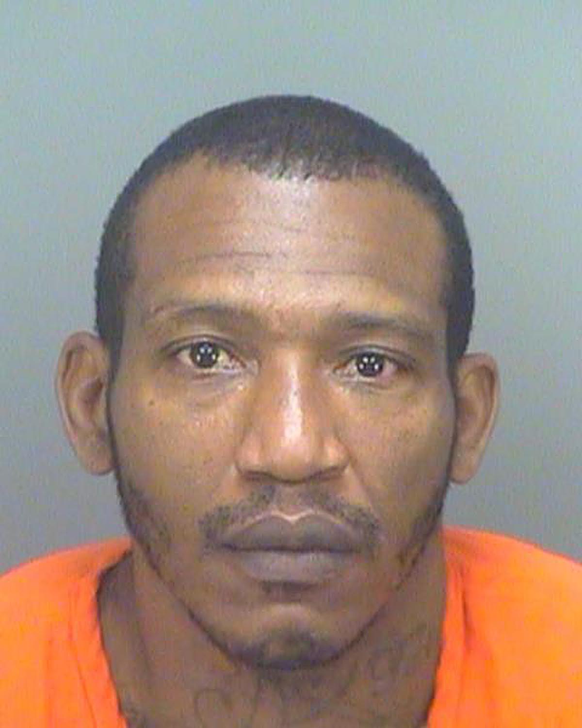 Selling Guns To Undercover Agents Gets Man 8 Years In Prison
