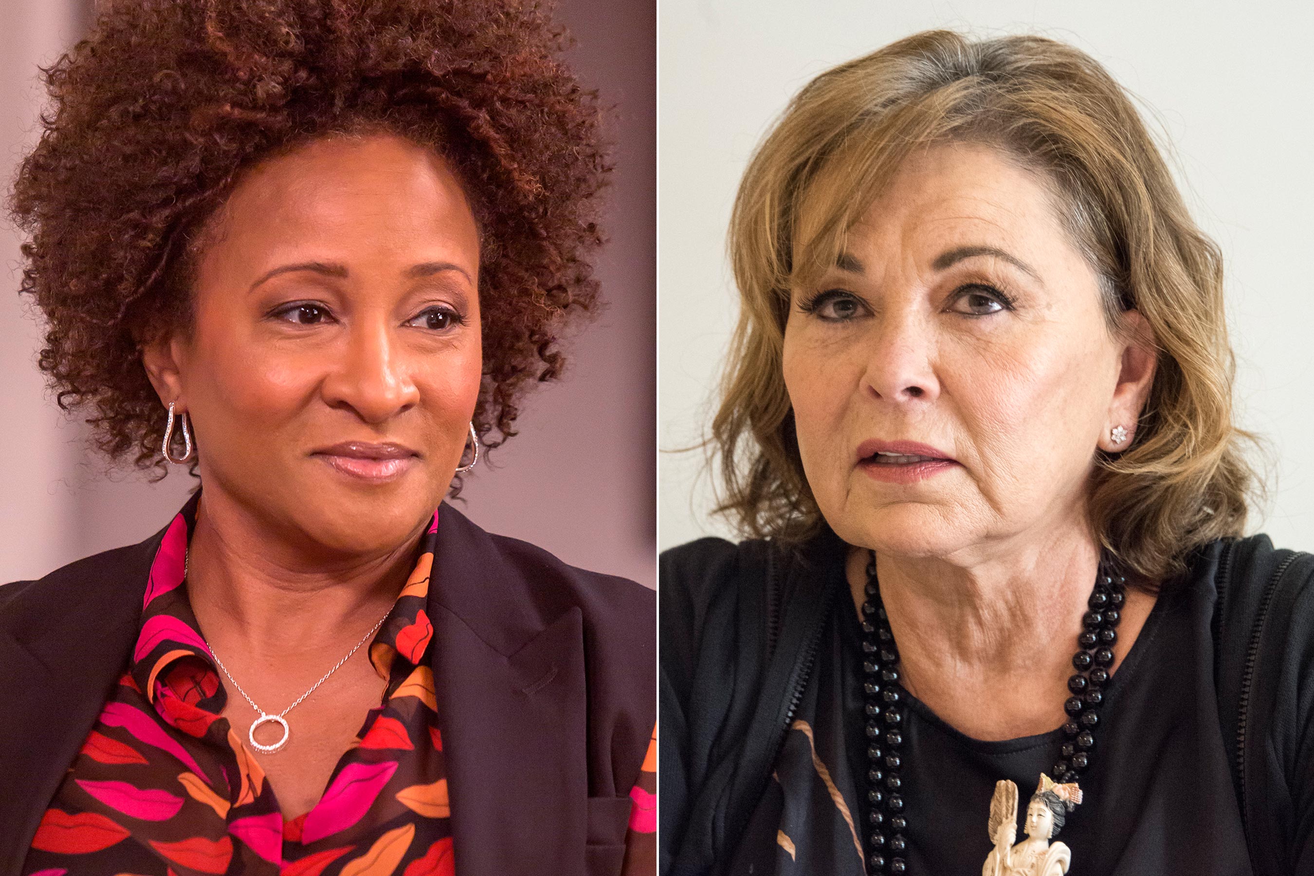 Wanda Sykes  Took Stand After ‘Roseanne’ Star’s Racist Tweet; Show Now Cancelled
