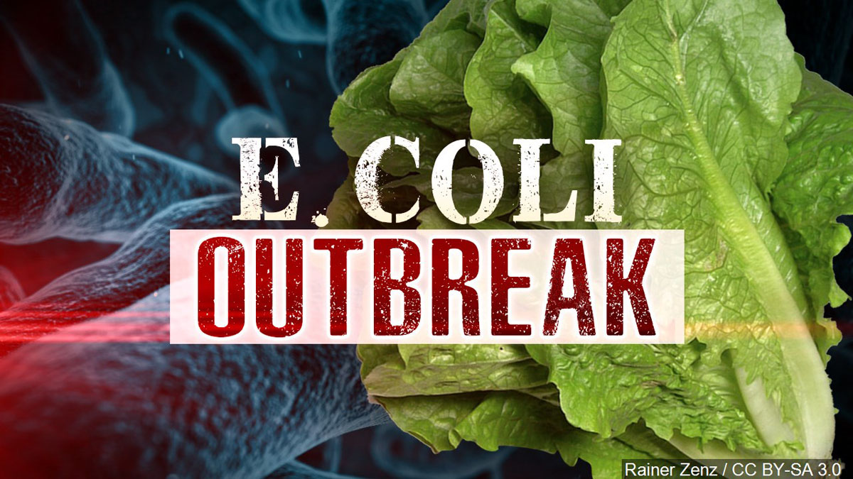 Romaine Lettuce E. coli Outbreak Has Many Slamming Trump For Rolling Back Obama-Era