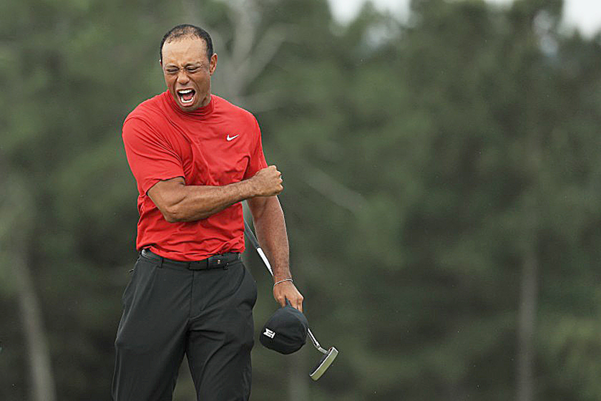 Tiger
