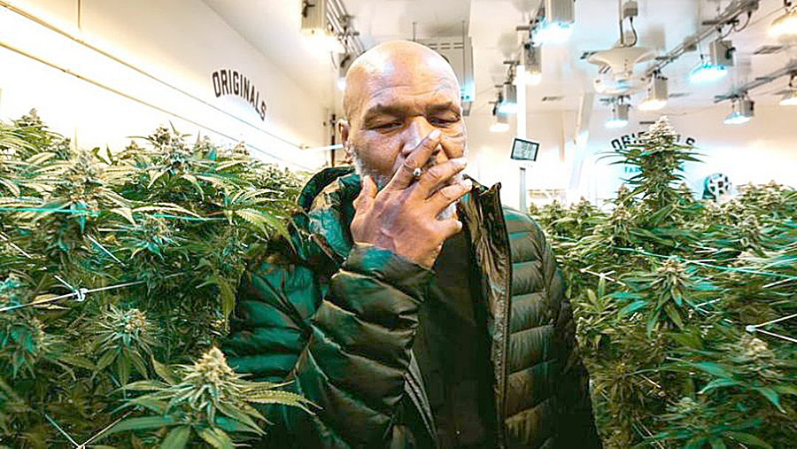 MIKE TYSON