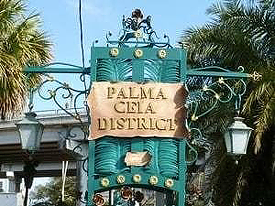 Palma Ceia