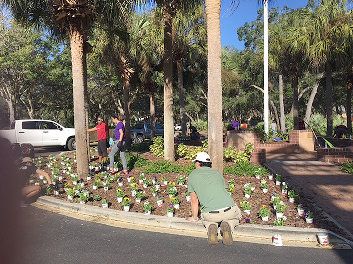 Paint the Town 2017 - flowers (2)