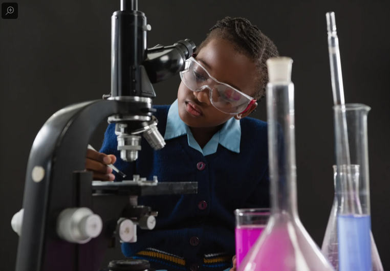 Screen Shot 2020-02-24 at 1.13.33 AM