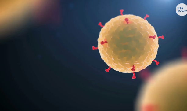 Screen Shot 2020-03-08 at 10.51.30 AM