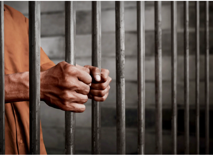 Screen Shot 2020-08-04 at 12.45.30 AM