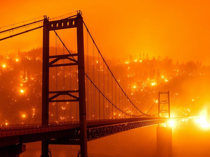 ap-20253605657365___14131713564