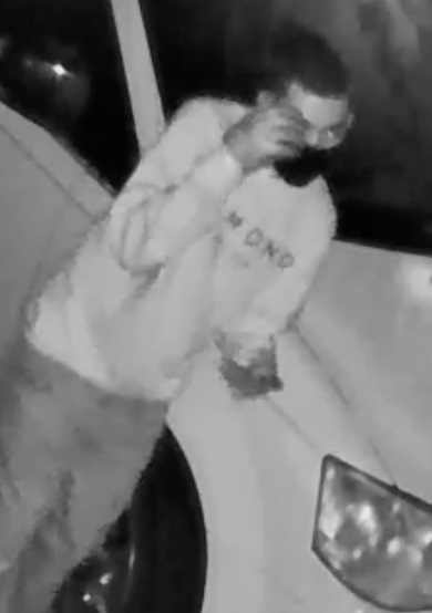 Car Burglary Suspect #1