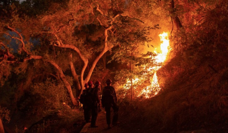 Screen Shot 2020-09-23 at 11.26.09 PM