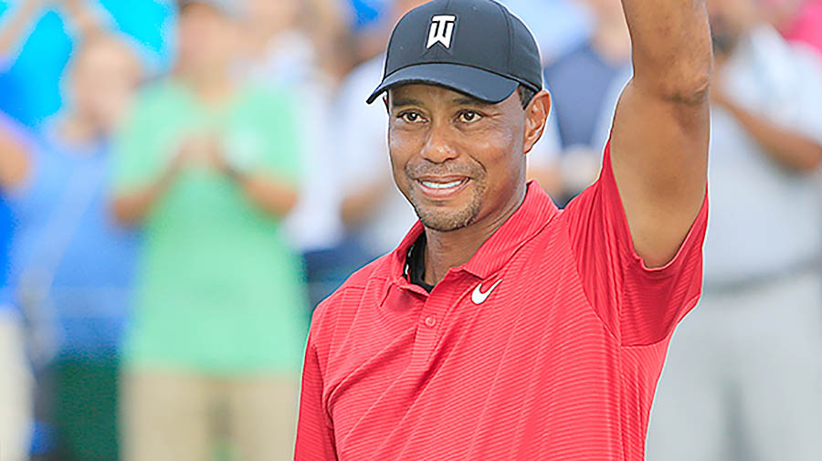 TIGER WOODS copy