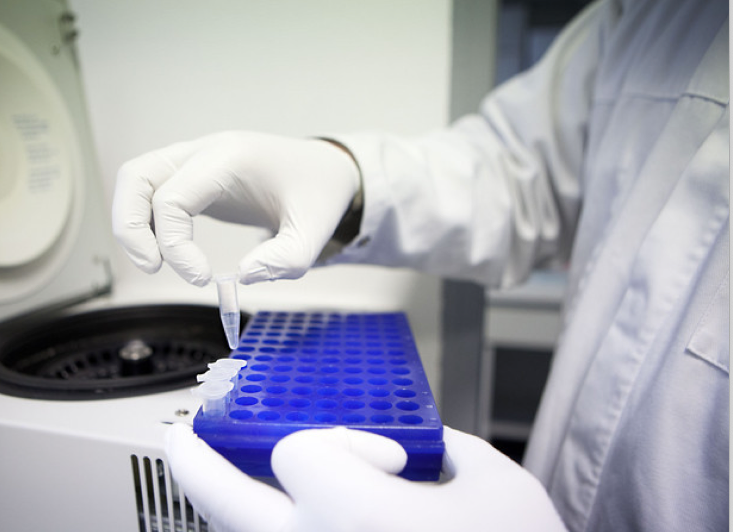 Screen Shot 2022-02-21 at 12.19.22 PM