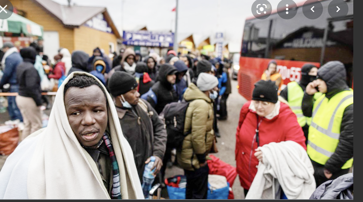 Screen Shot 2022-03-22 at 11.34.42 AM