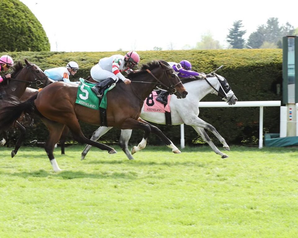 FSGKUOHWQAEyz2g.v1-960x768