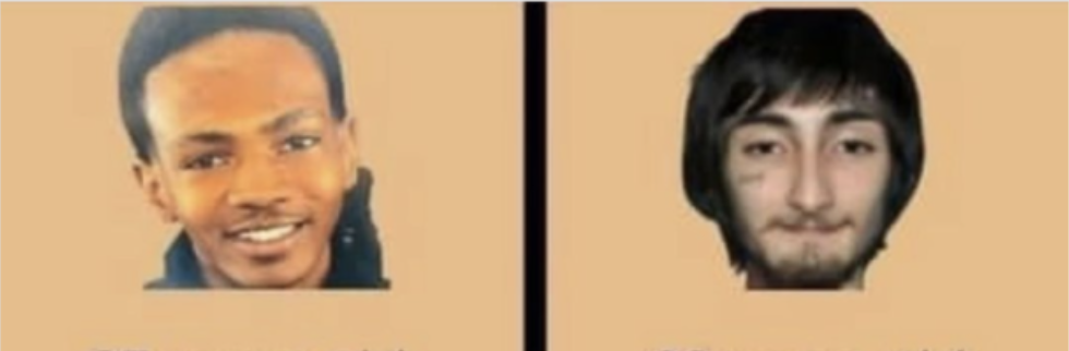 Screen Shot 2022-07-07 at 12.44.14 PM