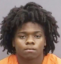 Screen Shot 2023-08-03 at 11.28.47 AM