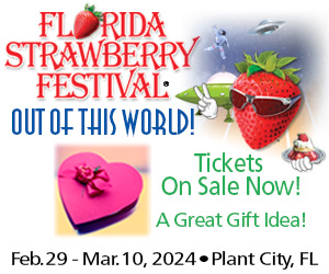FL Strawberry Festival Valentines Day Banner Ad