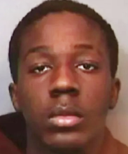 Screen Shot 2023-12-14 at 10.17.27 AM