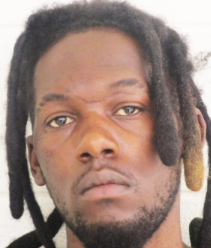 Screen Shot 2023-12-14 at 9.49.47 AM